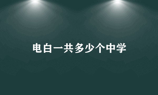 电白一共多少个中学