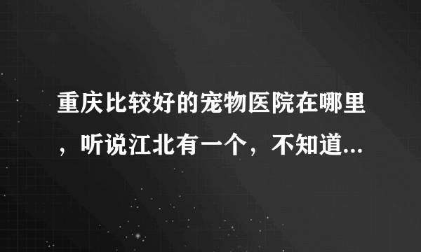 重庆比较好的宠物医院在哪里，听说江北有一个，不知道在什么地方。