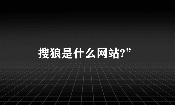 搜狼是什么网站?”