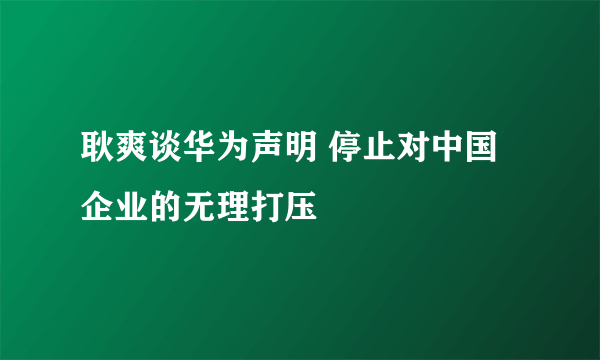 耿爽谈华为声明 停止对中国企业的无理打压