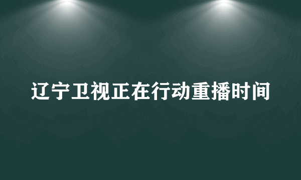 辽宁卫视正在行动重播时间