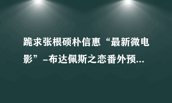 跪求张根硕朴信惠“最新微电影”-布达佩斯之恋番外预告里的背景音乐 ！