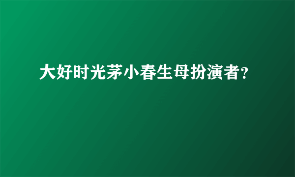 大好时光茅小春生母扮演者？