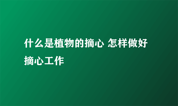 什么是植物的摘心 怎样做好摘心工作