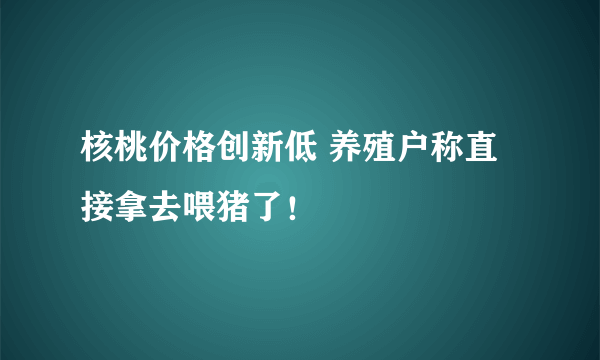 核桃价格创新低 养殖户称直接拿去喂猪了！