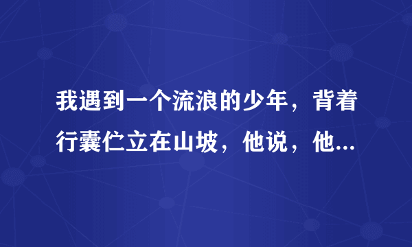 我遇到一个流浪的少年，背着行囊伫立在山坡，他说，他要去寻找四叶草的传说，哪怕依然要经历爱的折磨