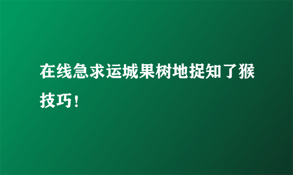 在线急求运城果树地捉知了猴技巧！