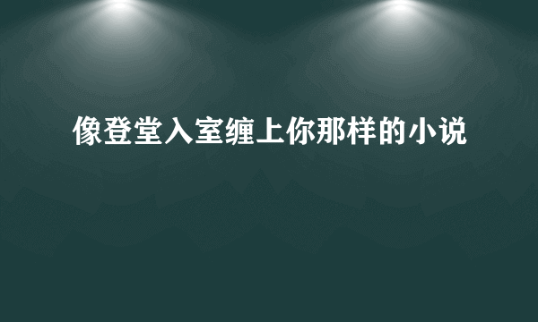 像登堂入室缠上你那样的小说