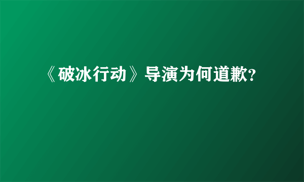 《破冰行动》导演为何道歉？