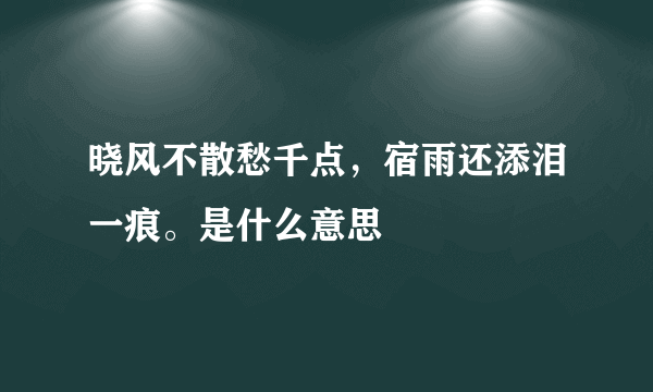 晓风不散愁千点，宿雨还添泪一痕。是什么意思