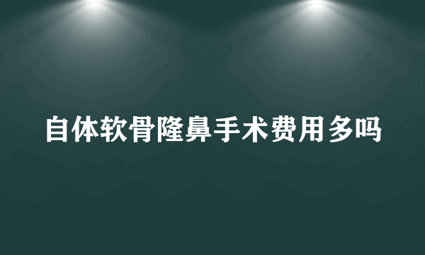 自体软骨隆鼻手术费用多吗