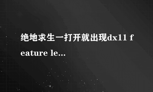 绝地求生一打开就出现dx11 feature level 10.0 is required to run the