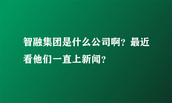 智融集团是什么公司啊？最近看他们一直上新闻？