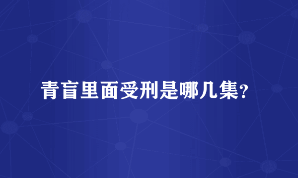 青盲里面受刑是哪几集？