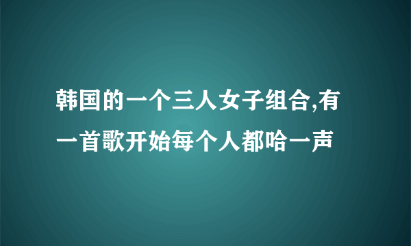 韩国的一个三人女子组合,有一首歌开始每个人都哈一声