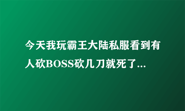 今天我玩霸王大陆私服看到有人砍BOSS砍几刀就死了，这是上挂吗？