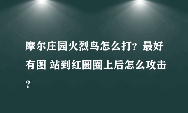 摩尔庄园火烈鸟怎么打？最好有图 站到红圆圈上后怎么攻击？