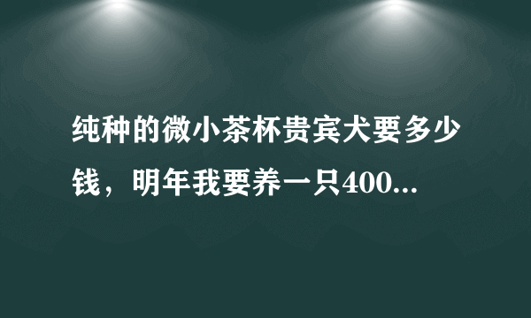 纯种的微小茶杯贵宾犬要多少钱，明年我要养一只4000元的贵宾犬，这些钱够买一只纯正的贵宾犬吗