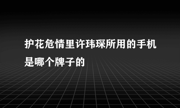 护花危情里许玮琛所用的手机是哪个牌子的