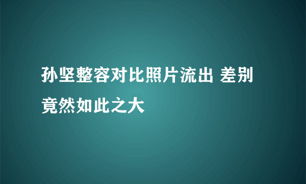 孙坚整容对比照片流出 差别竟然如此之大