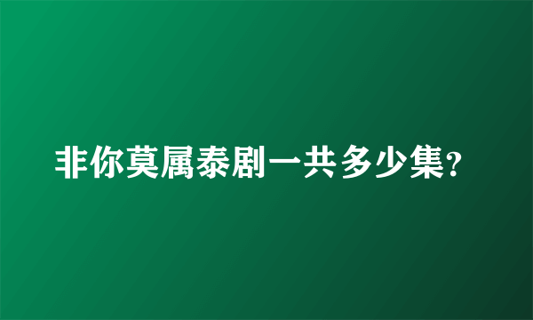 非你莫属泰剧一共多少集？