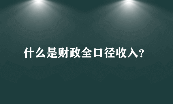 什么是财政全口径收入？