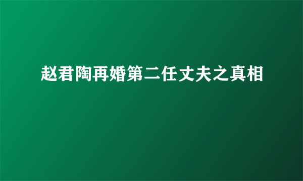 赵君陶再婚第二任丈夫之真相