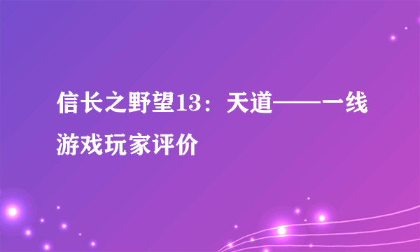 信长之野望13：天道——一线游戏玩家评价