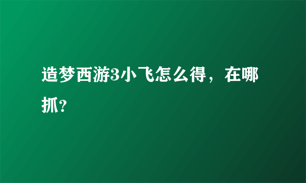 造梦西游3小飞怎么得，在哪抓？