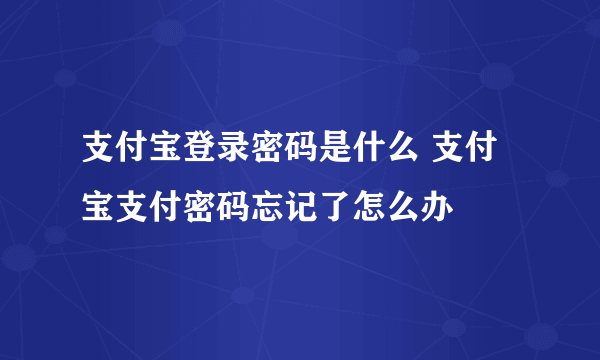 支付宝登录密码是什么 支付宝支付密码忘记了怎么办