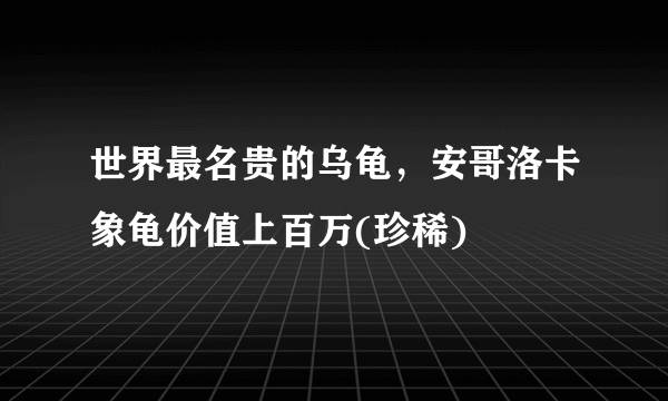 世界最名贵的乌龟，安哥洛卡象龟价值上百万(珍稀)