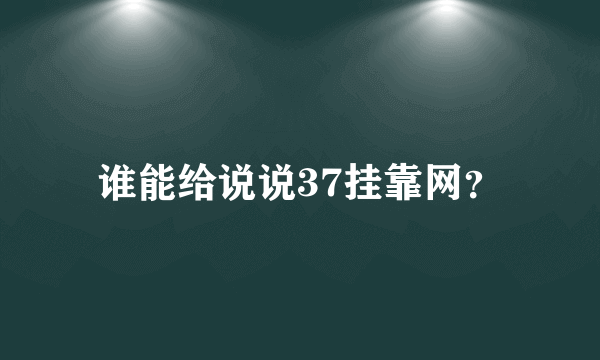 谁能给说说37挂靠网？