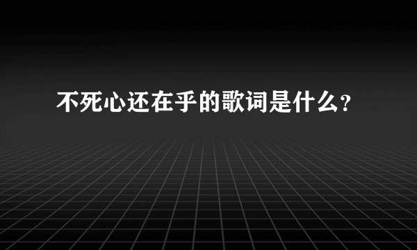 不死心还在乎的歌词是什么？