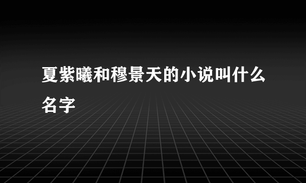 夏紫曦和穆景天的小说叫什么名字