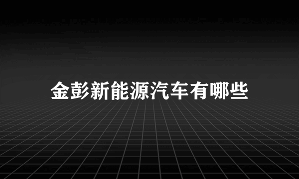 金彭新能源汽车有哪些