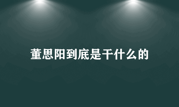 董思阳到底是干什么的