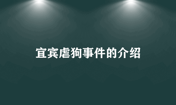 宜宾虐狗事件的介绍