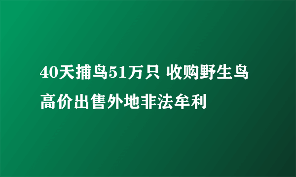 40天捕鸟51万只 收购野生鸟高价出售外地非法牟利