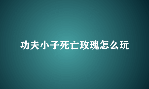 功夫小子死亡玫瑰怎么玩