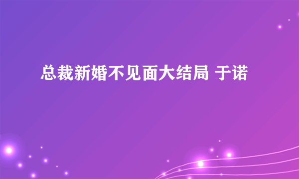 总裁新婚不见面大结局 于诺