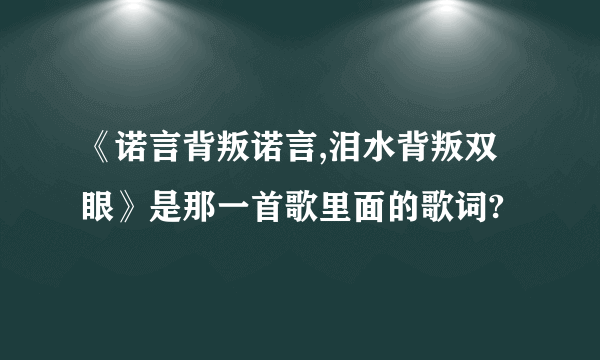 《诺言背叛诺言,泪水背叛双眼》是那一首歌里面的歌词?