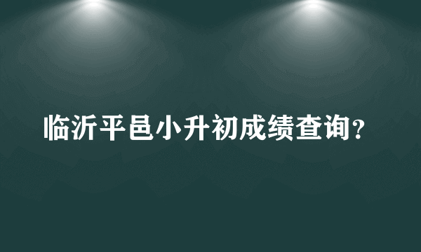 临沂平邑小升初成绩查询？