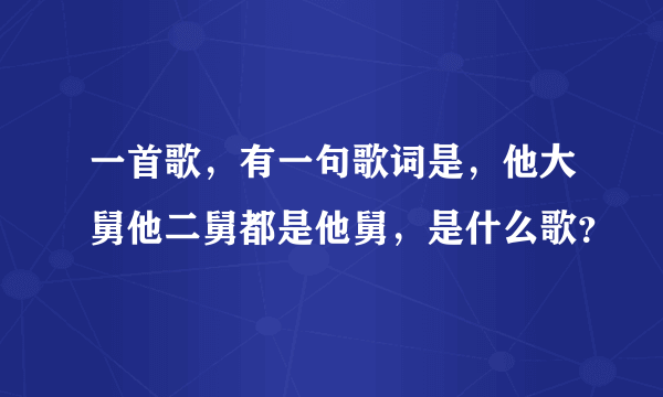 一首歌，有一句歌词是，他大舅他二舅都是他舅，是什么歌？