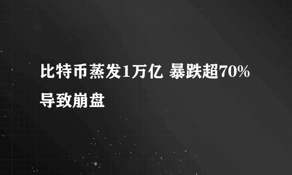 比特币蒸发1万亿 暴跌超70%导致崩盘