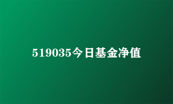 519035今日基金净值