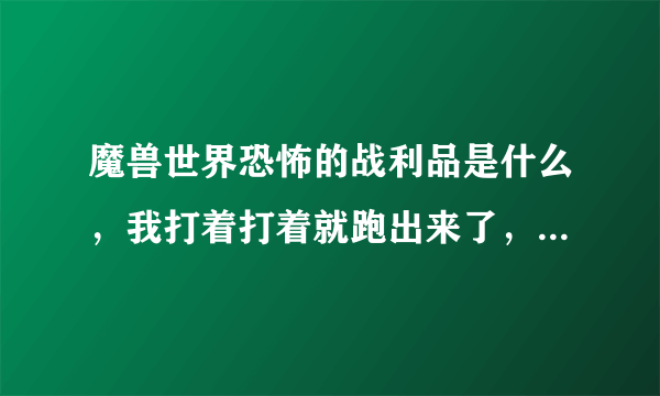 魔兽世界恐怖的战利品是什么，我打着打着就跑出来了，有什么用呢？