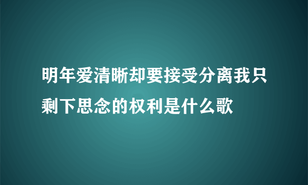 明年爱清晰却要接受分离我只剩下思念的权利是什么歌