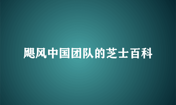 飓风中国团队的芝士百科