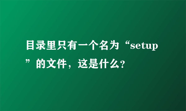 目录里只有一个名为“setup”的文件，这是什么？