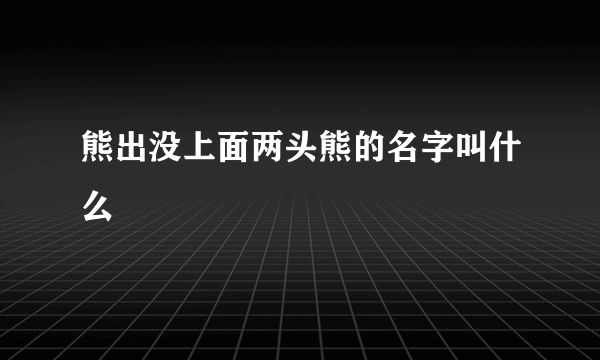 熊出没上面两头熊的名字叫什么